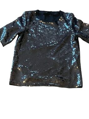 Zara Woman Small Sequin Top. clear sequin blouse with frayed collar size small